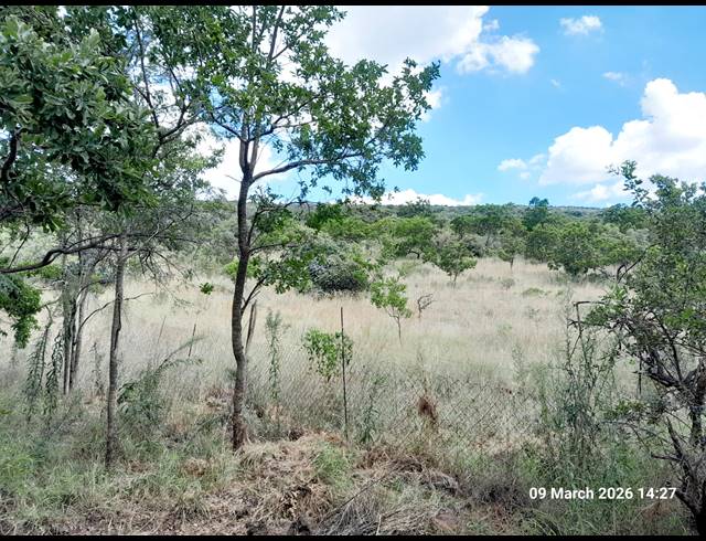 79HA FARM FOR SALE IN KAMEELDRIFT WEST